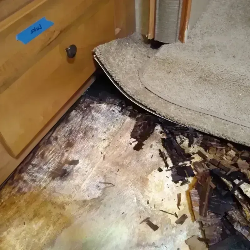 Wood Floor Water Damage in Truman, MN